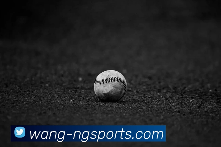 NG体育官网APP 封面图