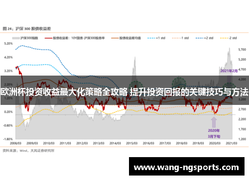 欧洲杯投资收益最大化策略全攻略 提升投资回报的关键技巧与方法