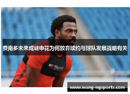 费南多未来成谜申花为何放弃续约与球队发展战略有关