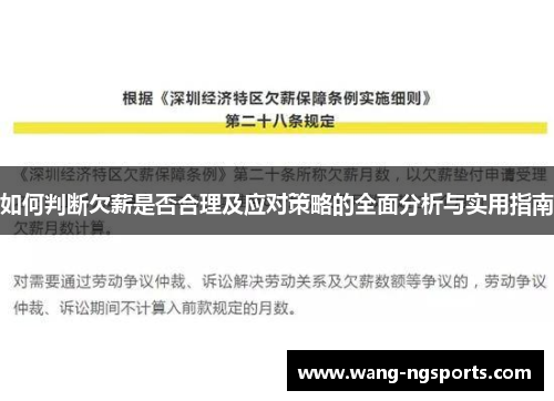 如何判断欠薪是否合理及应对策略的全面分析与实用指南