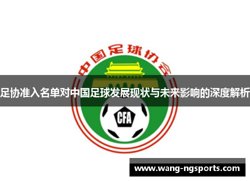 足协准入名单对中国足球发展现状与未来影响的深度解析