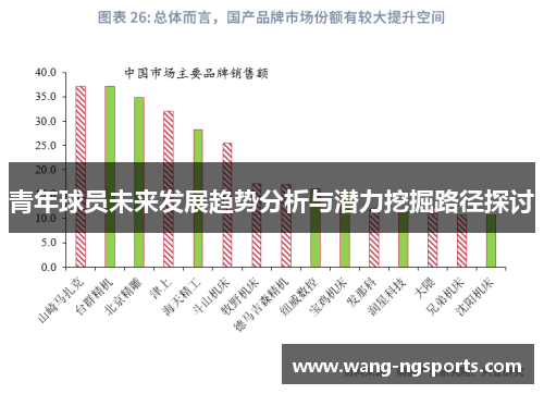 青年球员未来发展趋势分析与潜力挖掘路径探讨